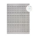 Sivý umývateľný koberec zo ženilky 80x160 cm Jhansi – Flair Rugs