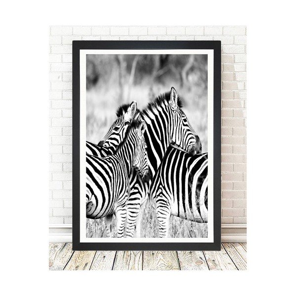 Obraz Tablo Center Zebras, 24 × 29 cm-image-1