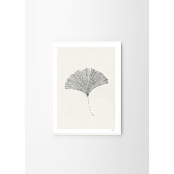 Plagát 50x70 cm Ginkgo Leaf – Ana Frois – The Poster Club-image-4