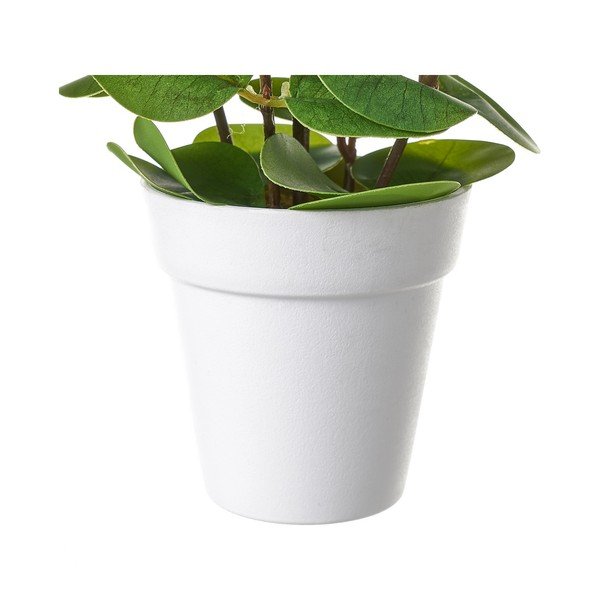 Umelý kvet – Casa Selección-image-1