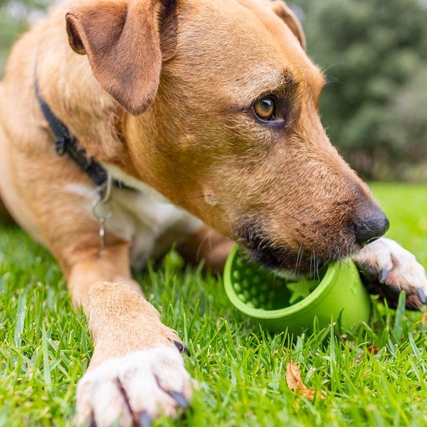 Lízacia miska Yoggie Pot Green – LickiMat-image-4