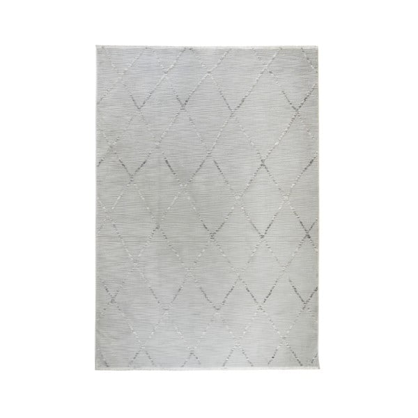 Sivý koberec 80x150 cm Jaipur – Webtappeti