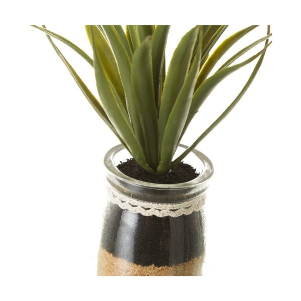 Umelé rastliny v súprave 4 ks (výška  18 cm) Cactus – Casa Selección-image-2