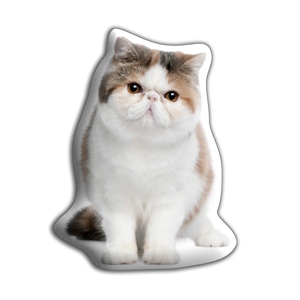 Vankúšik s potlačou Exotickej krátkosrstej mačky Adorable Cushions