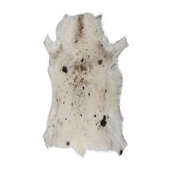 Sivá sobia kožušina Arctic Fur Gelo, 115 × 70 cm