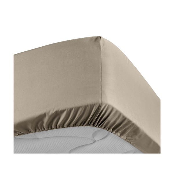 Svetlohnedá napínacia plachta z bavlneného perkálu 160x200 cm Percaline – douceur d'intérieur-image-3