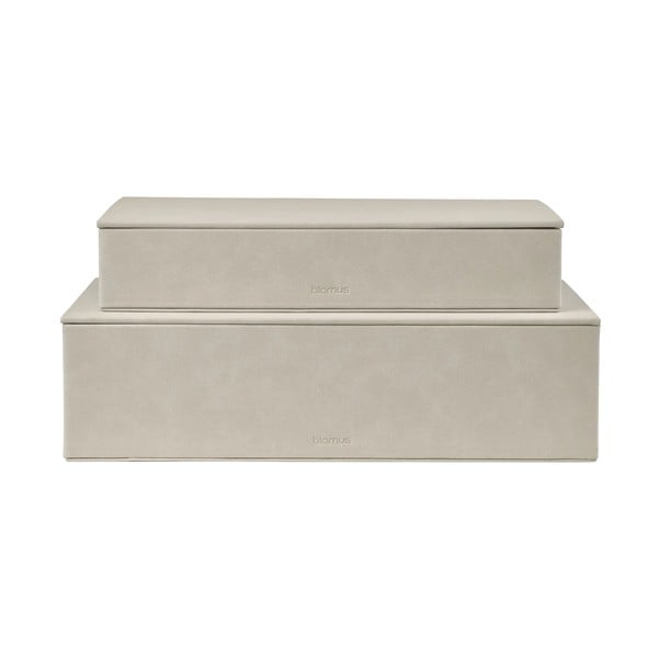Béžové úložné boxy v súprave 2 ks s vekom z umelej kože 40x30x11 cm Sahla – Blomus-image-4