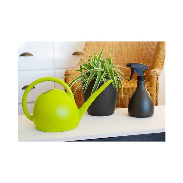 Zelená kanvica Plastia Medusa, 1,8 l-image-2