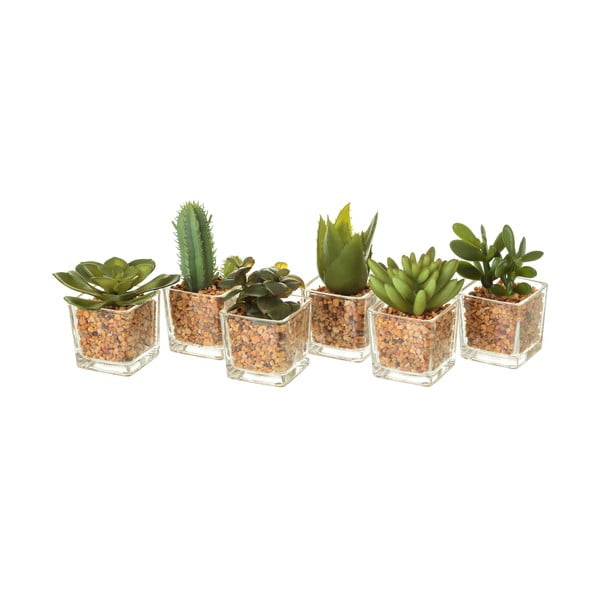Umelé rastliny v súprave 6 ks (výška  8 cm) Cactus – Casa Selección