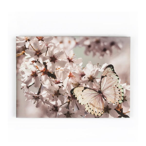 Obraz Graham & Brown Butterfly Branch, 70 × 50 cm