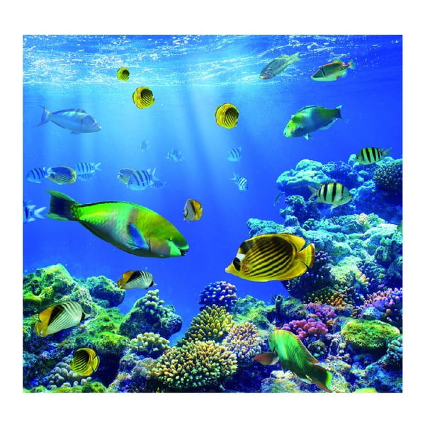 Tapeta Underwater World, 300x280 cm