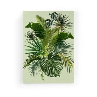 Obraz na plátne Really Nice Things Tropical, 40 x 60 cm