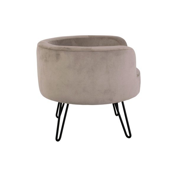 Sivý zamatový pelech pre domácich maznáčikov Leitmotiv Throne-image-3
