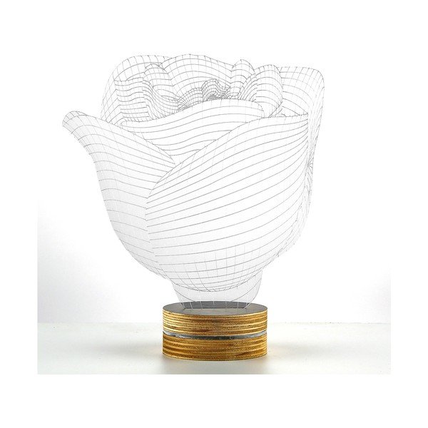 3D stolová lampa Rose-image-1