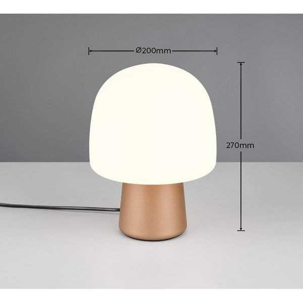 Stolová lampa v bielo-bronzovej farbe so skleneným tienidlom (výška 27 cm) Steen – Trio-image-3