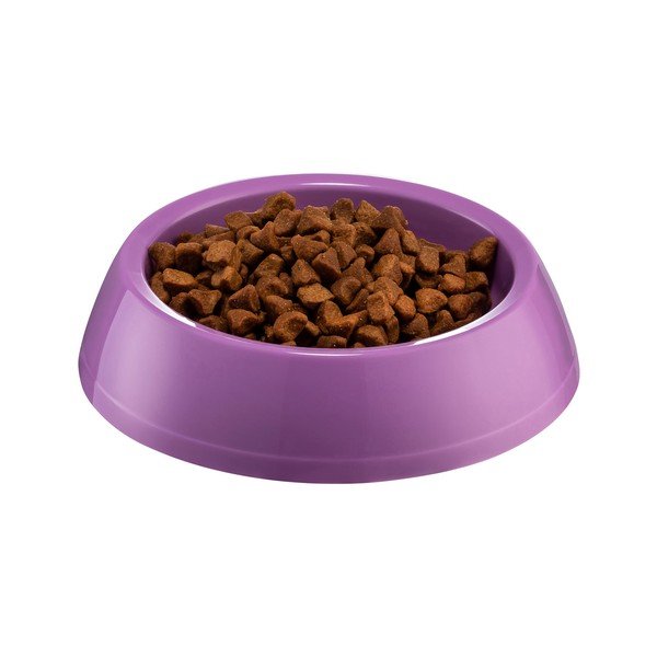 Fialová miska pre psa Petpetite, ø 14 cm-image-1