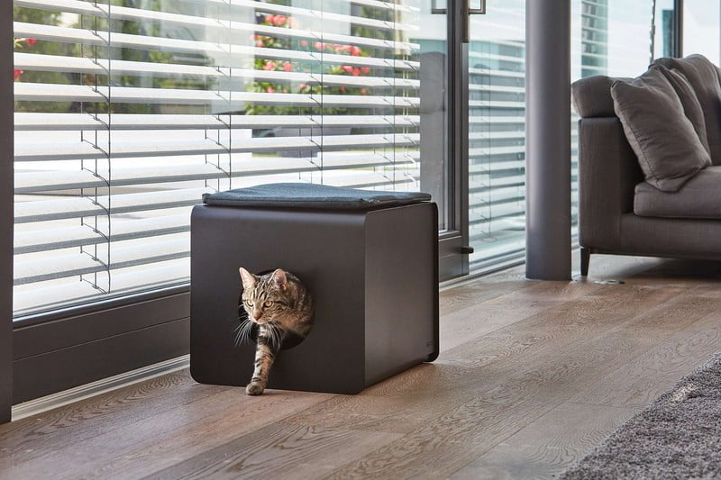 Inšpirácia: Obývacia izba, Domáci miláčikovia, Škandinávsky štýl