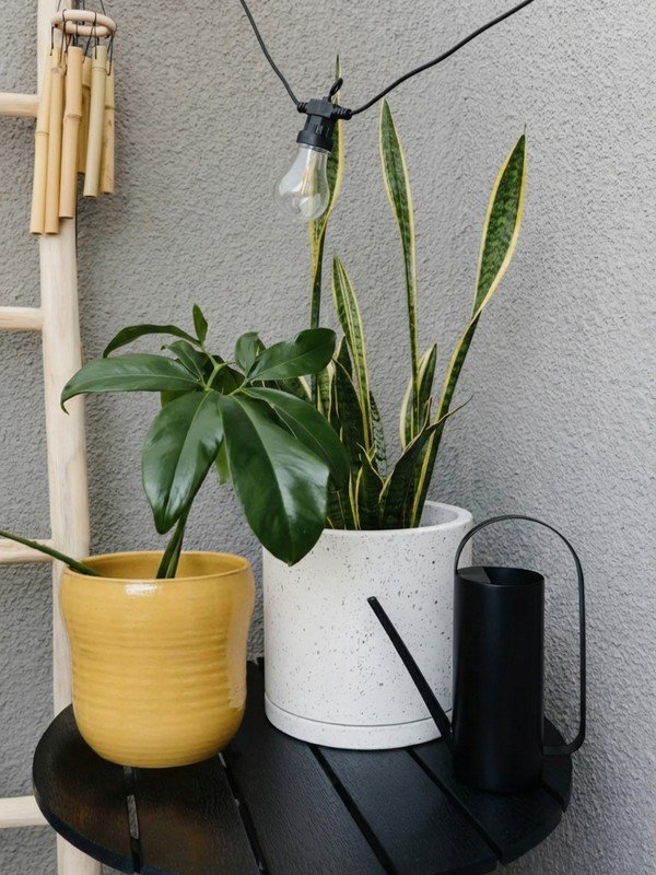 Inšpirácia: Balkón a terasa, Záhrada