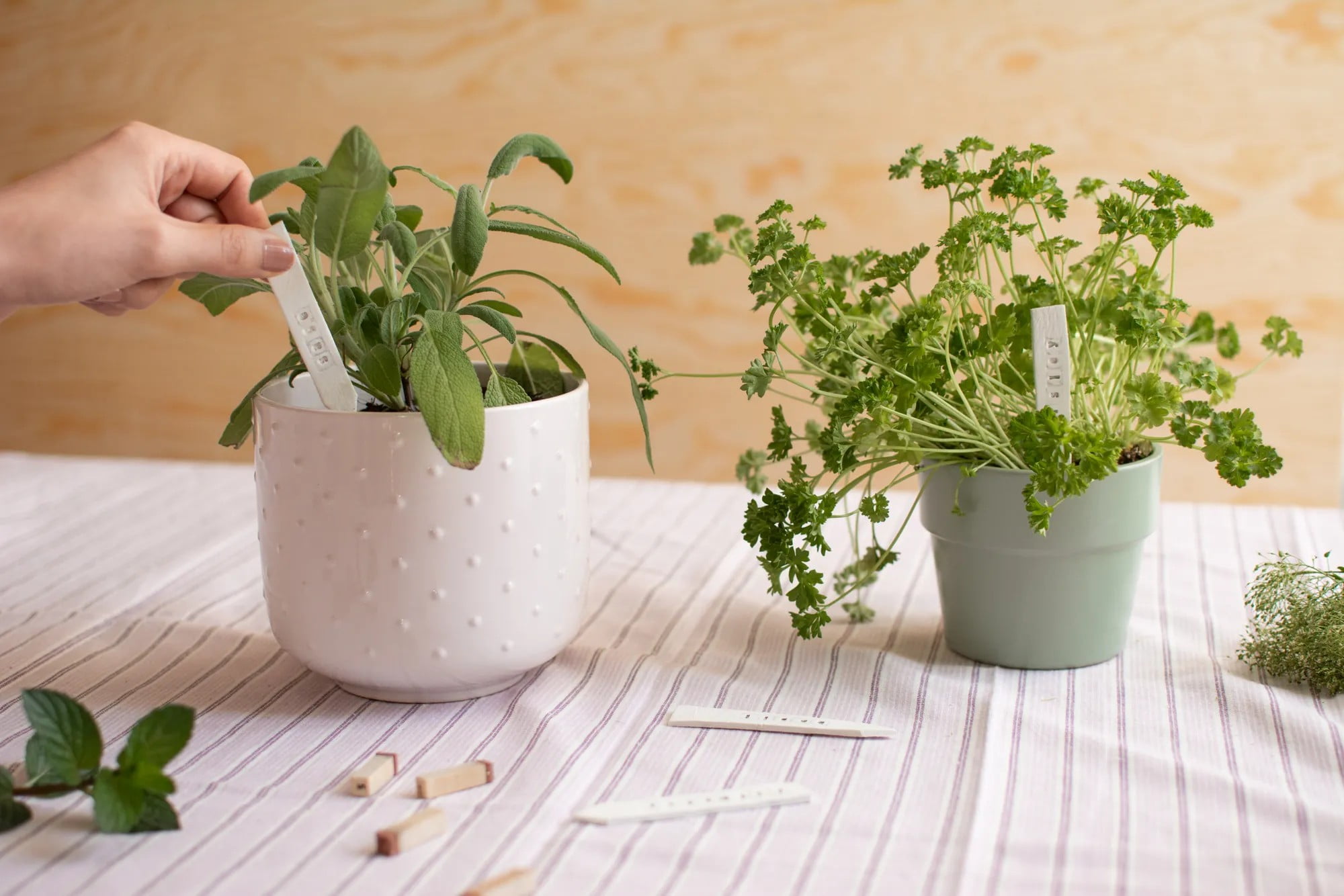 Zaobstarajte si praktické štítky na bylinky, nech viete, čo sú jednotlivé rastlinky zač! Môžete si ich aj vyrobiť zo samotvrdnúcej hmoty.