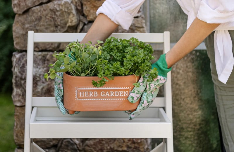 Jarná inšpirácia: tipy na pestovanie doma aj na záhrade