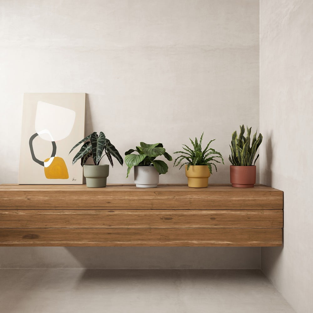 Inšpirácia: Dekorácie