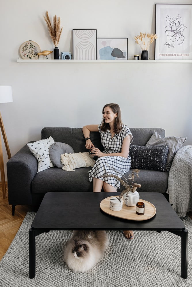 Inšpirácia: Obývacia izba, Škandinávsky štýl