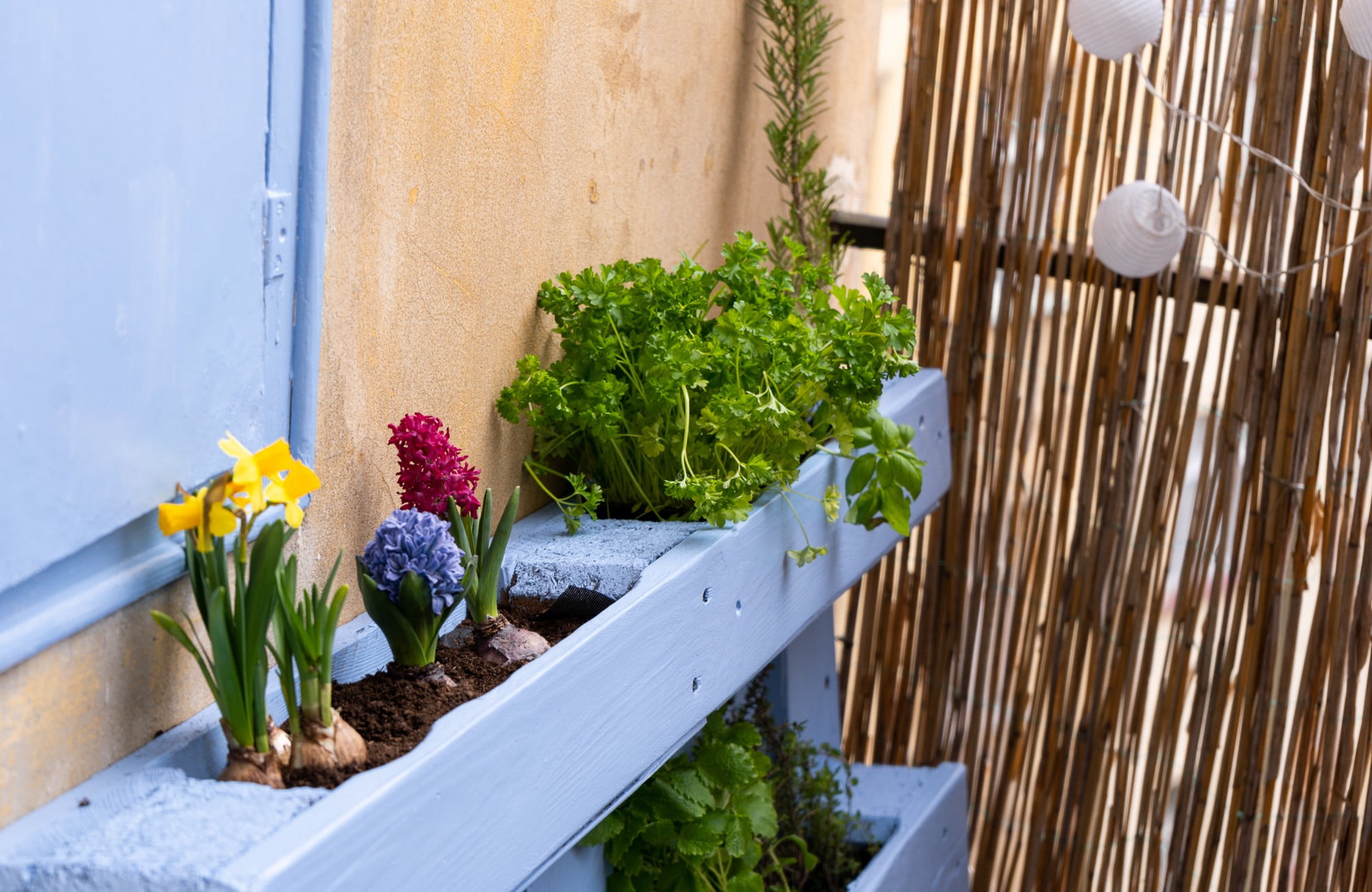 Aj na malom balkóne môžete pestovať veľa byliniek a zeleniny.