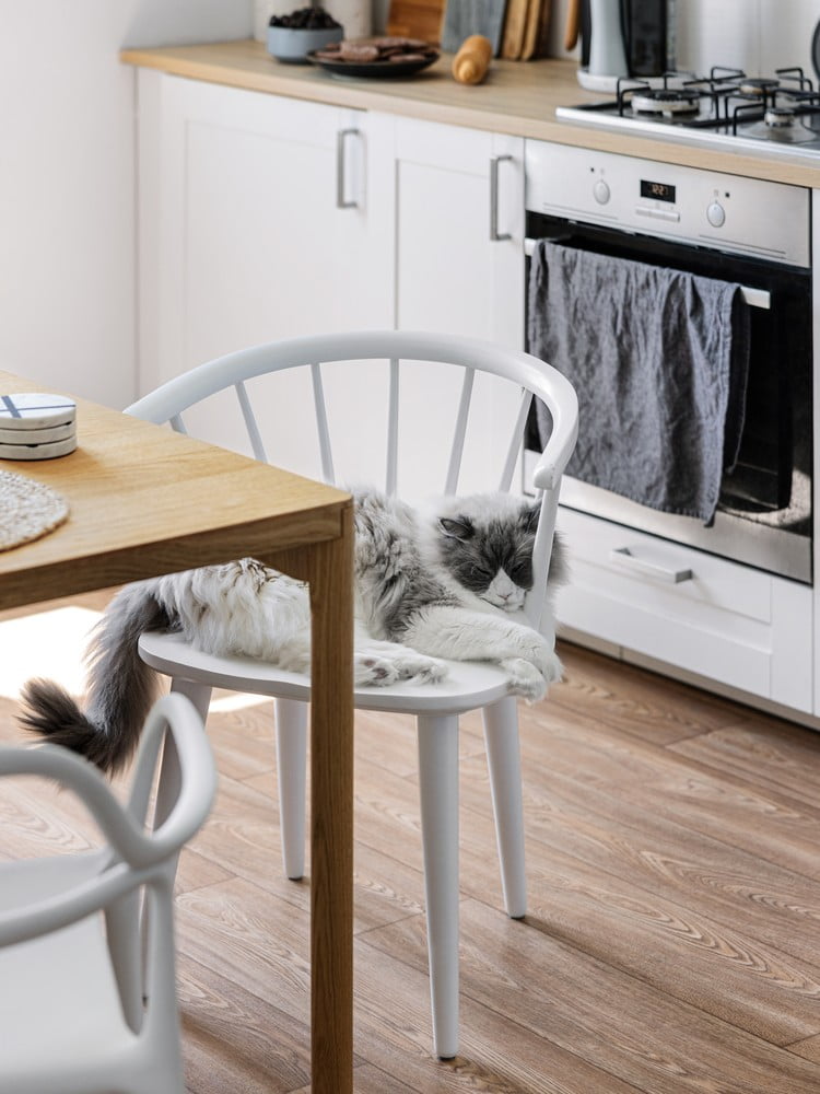 Inšpirácia: Kuchyňa a jedáleň