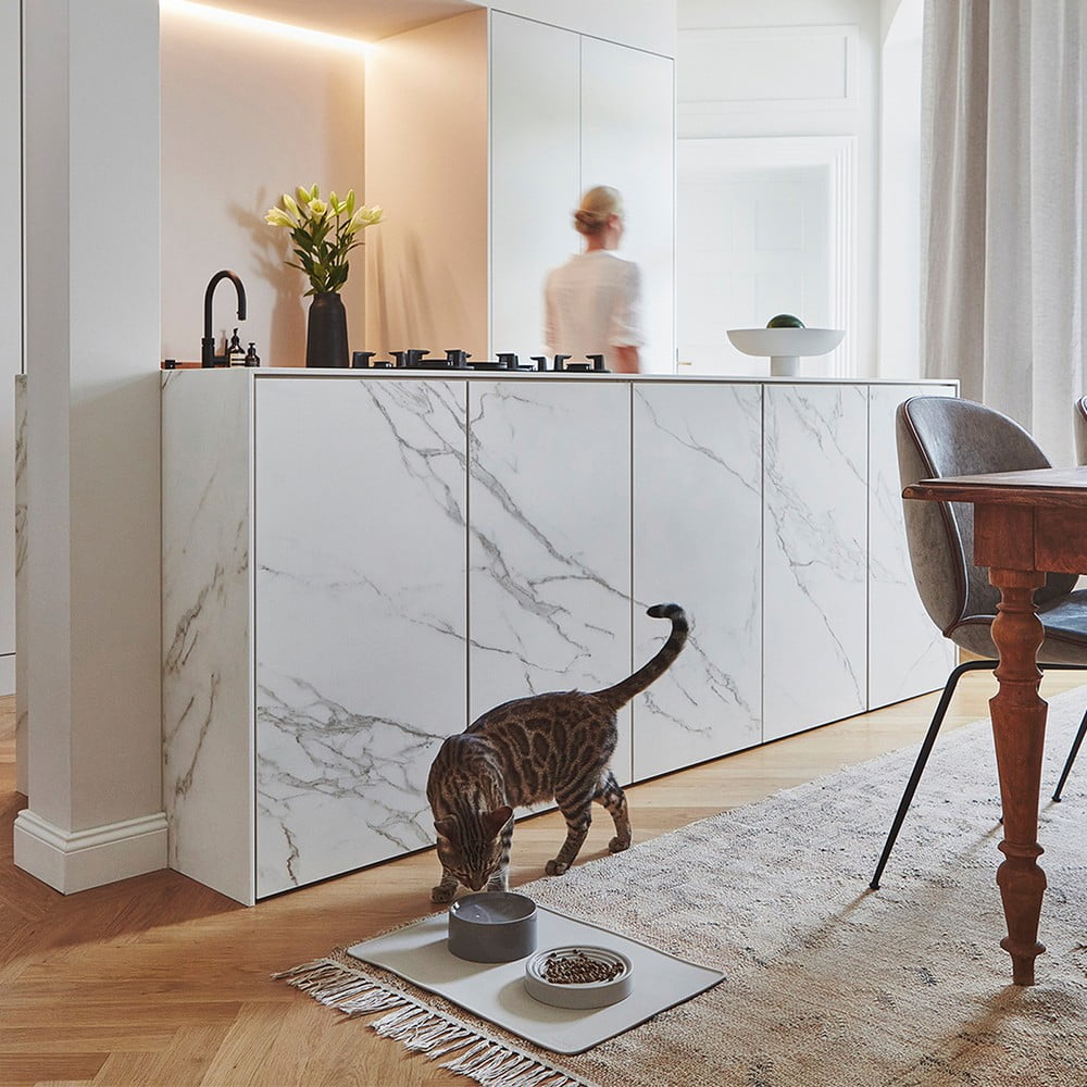 Inšpirácia: Domáci miláčikovia