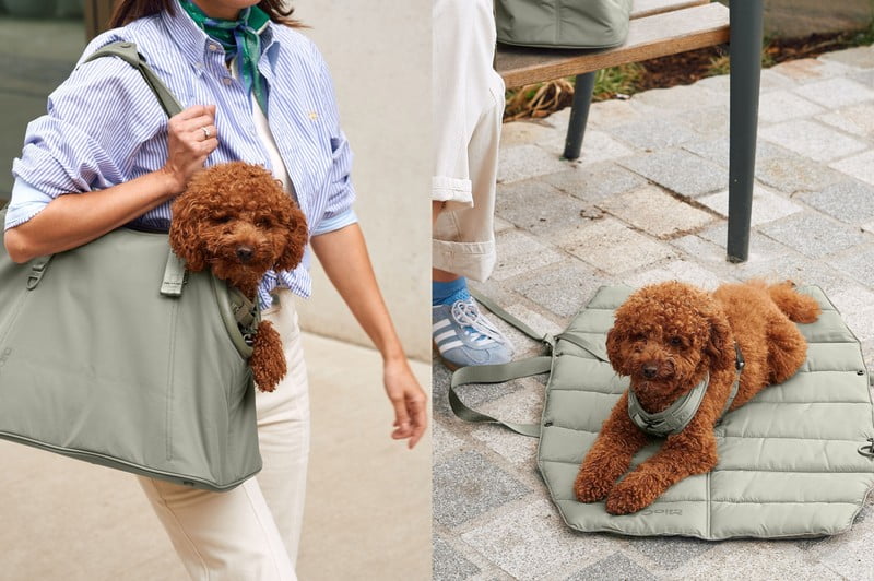 Inšpirácia: Domáci miláčikovia