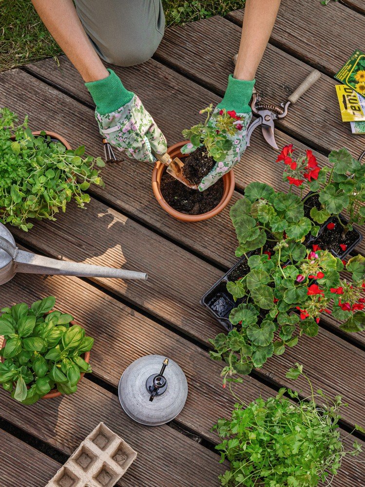 Inšpirácia: Záhrada