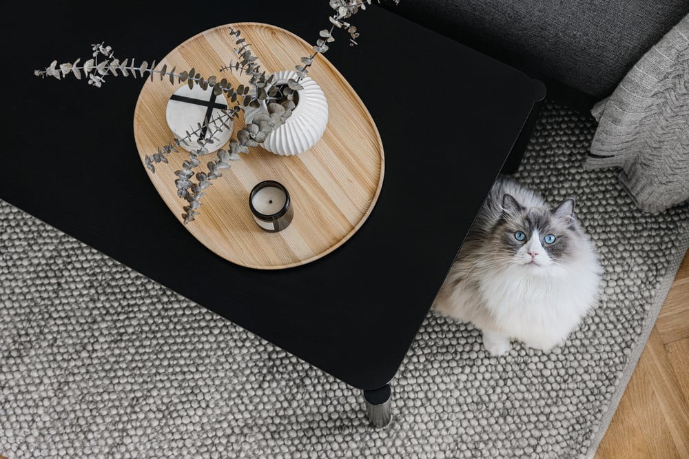 Inšpirácia: Obývacia izba, Škandinávsky štýl