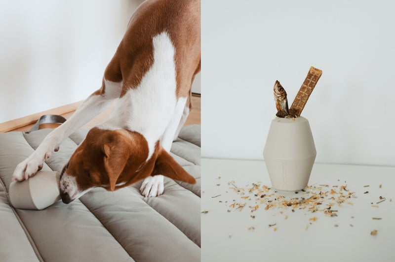 Inšpirácia: Domáci miláčikovia