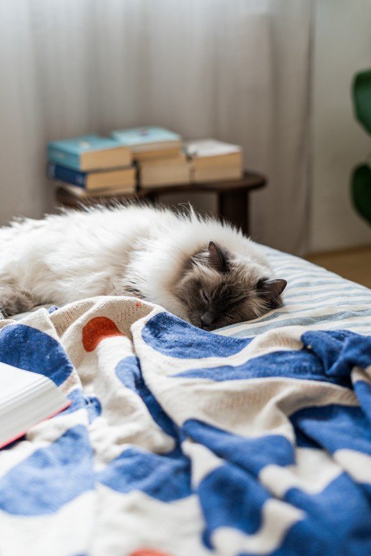 Inšpirácia: Dekorácie