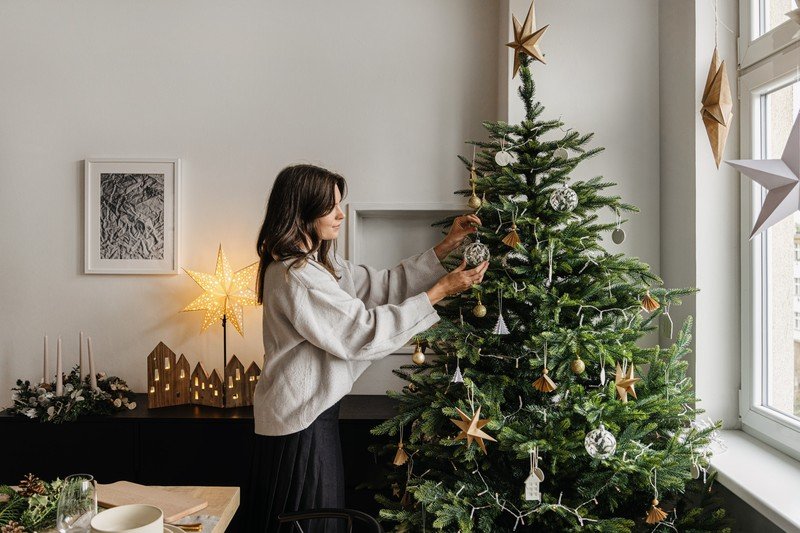 Inšpirácia: Vianoce, Jedáleň, Dekorácie