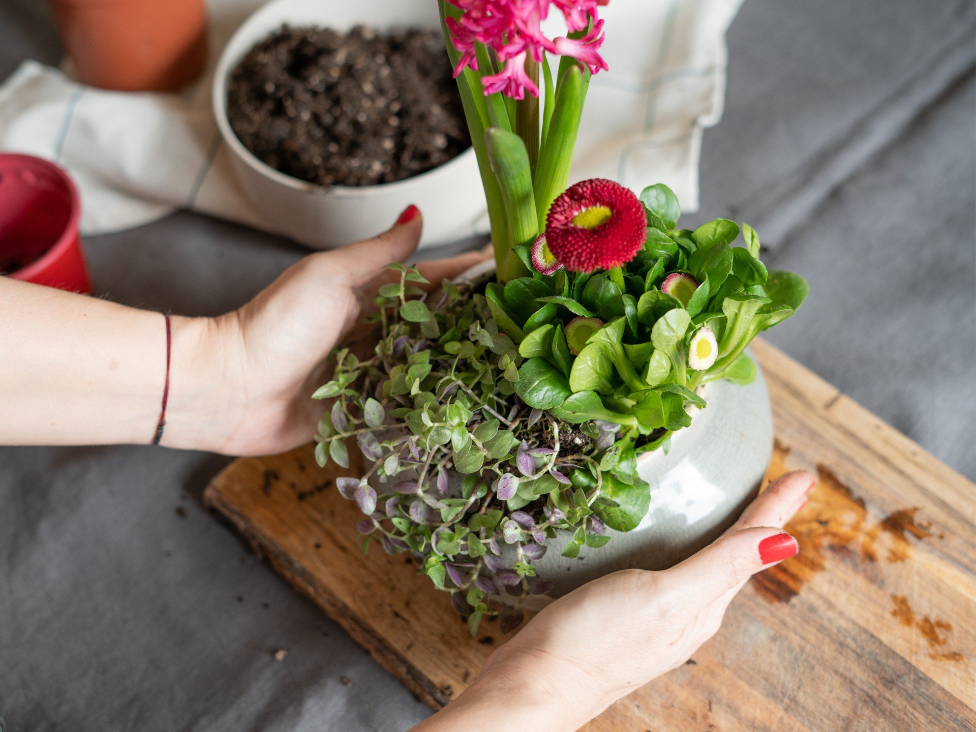 Jarná dekorácia z cibuľovín a kvitnúcich rastlín