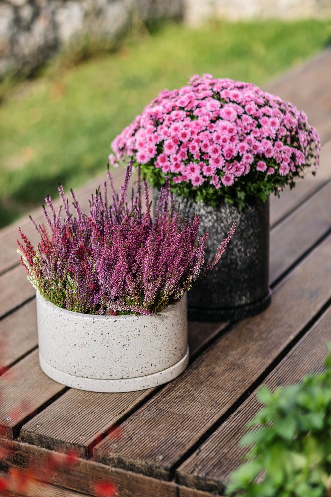 Inšpirácia: Záhrada, Balkón a terasa, Rustikálny štýl