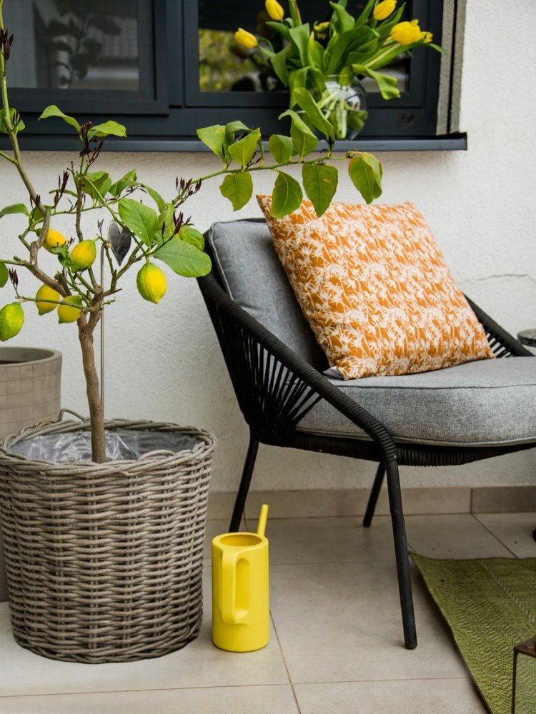 Inšpirácia: Balkón a terasa, Záhrada