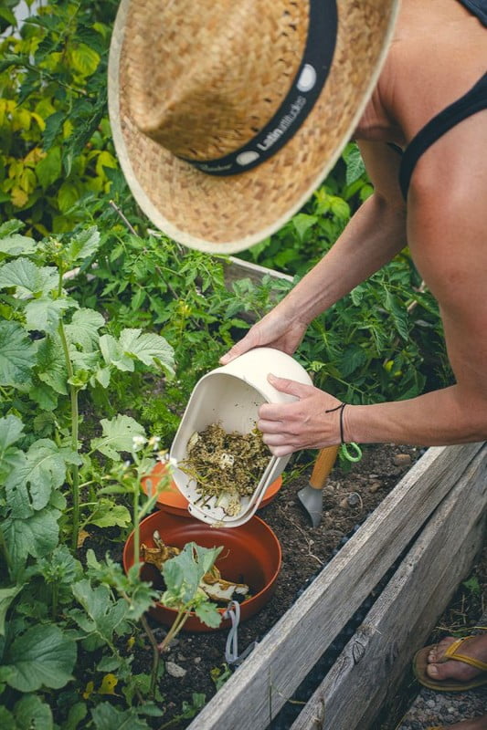 Inšpirácia: Záhrada