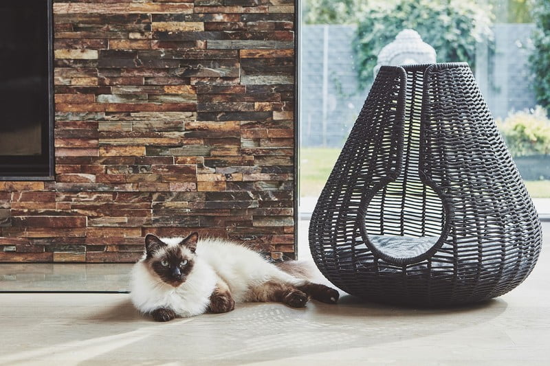 Inšpirácia: Obývacia izba, Domáci miláčikovia, Škandinávsky štýl