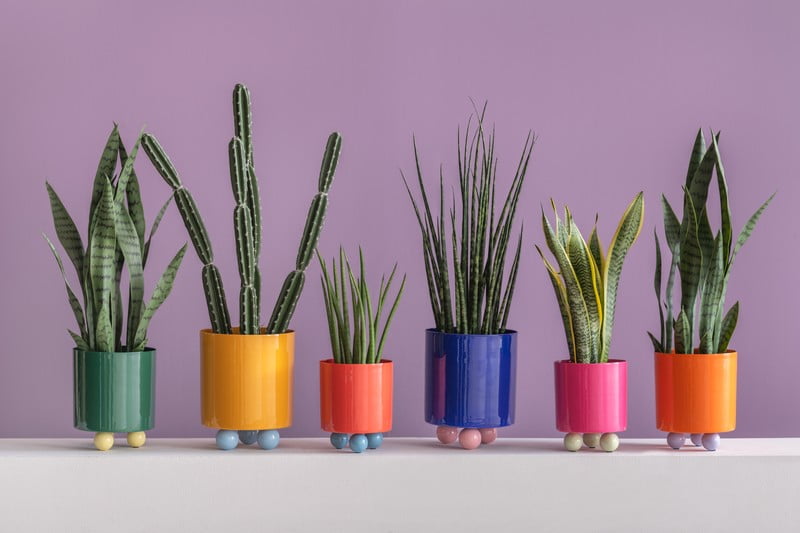 Inšpirácia: Dekorácie