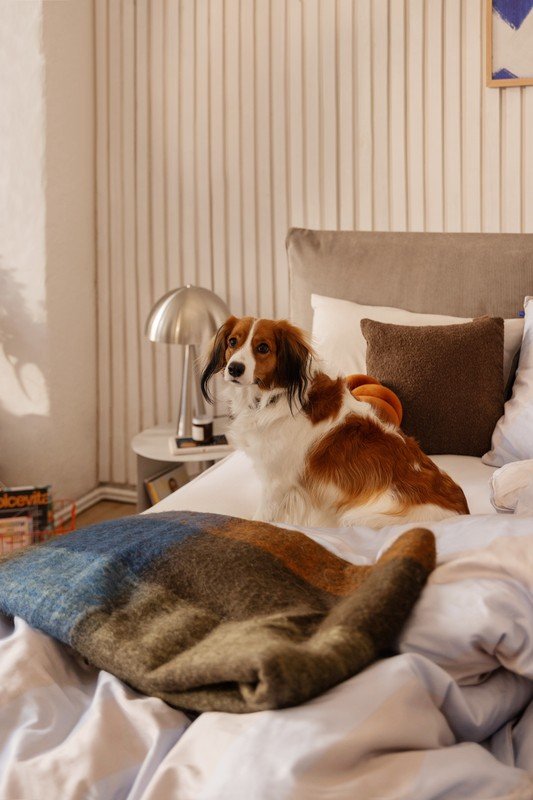 Inšpirácia: Spálňa