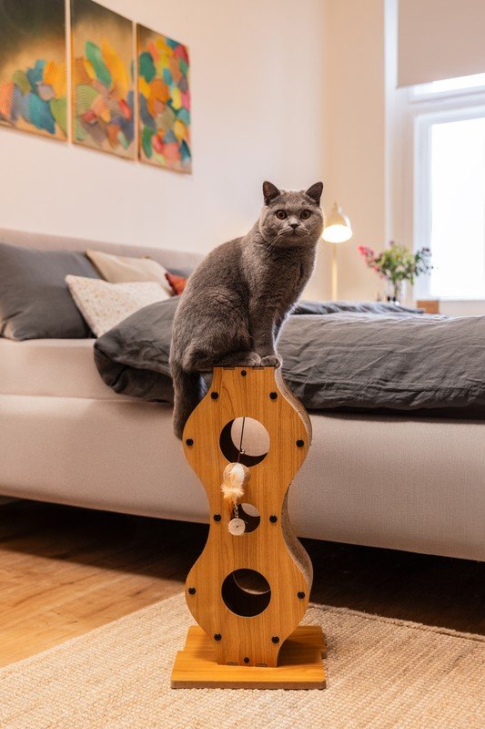 Inšpirácia: Bonami návštevy