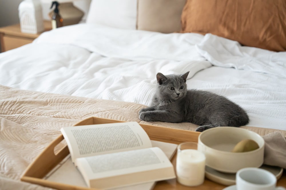 Inšpirácia: Spálňa, Klasický štýl, Jeseň, Textil