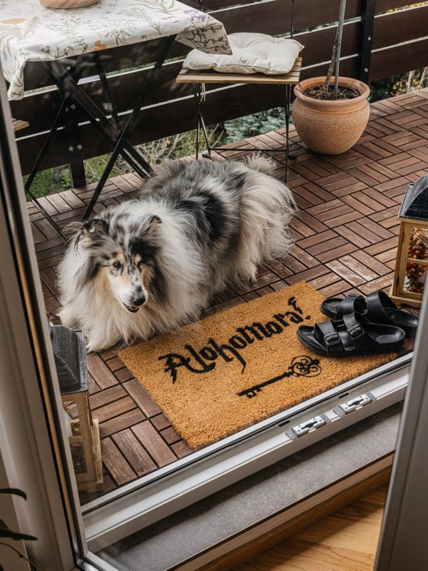 Inšpirácia: Predsieň a šatňa