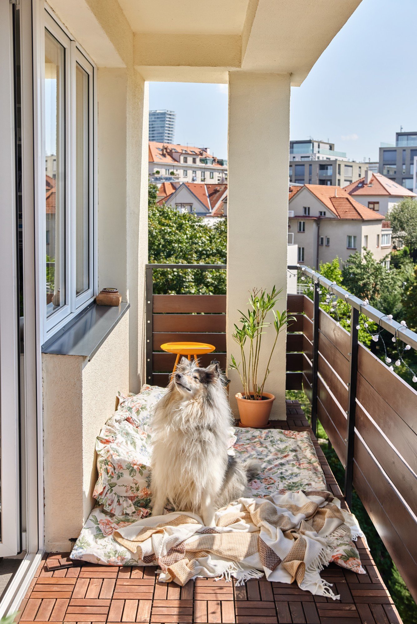 Relaxačný kút, ktorý bude fungovať aj pre domáceho miláčika? Vonkajší matrac, pár vankúšov a mäkká deka.