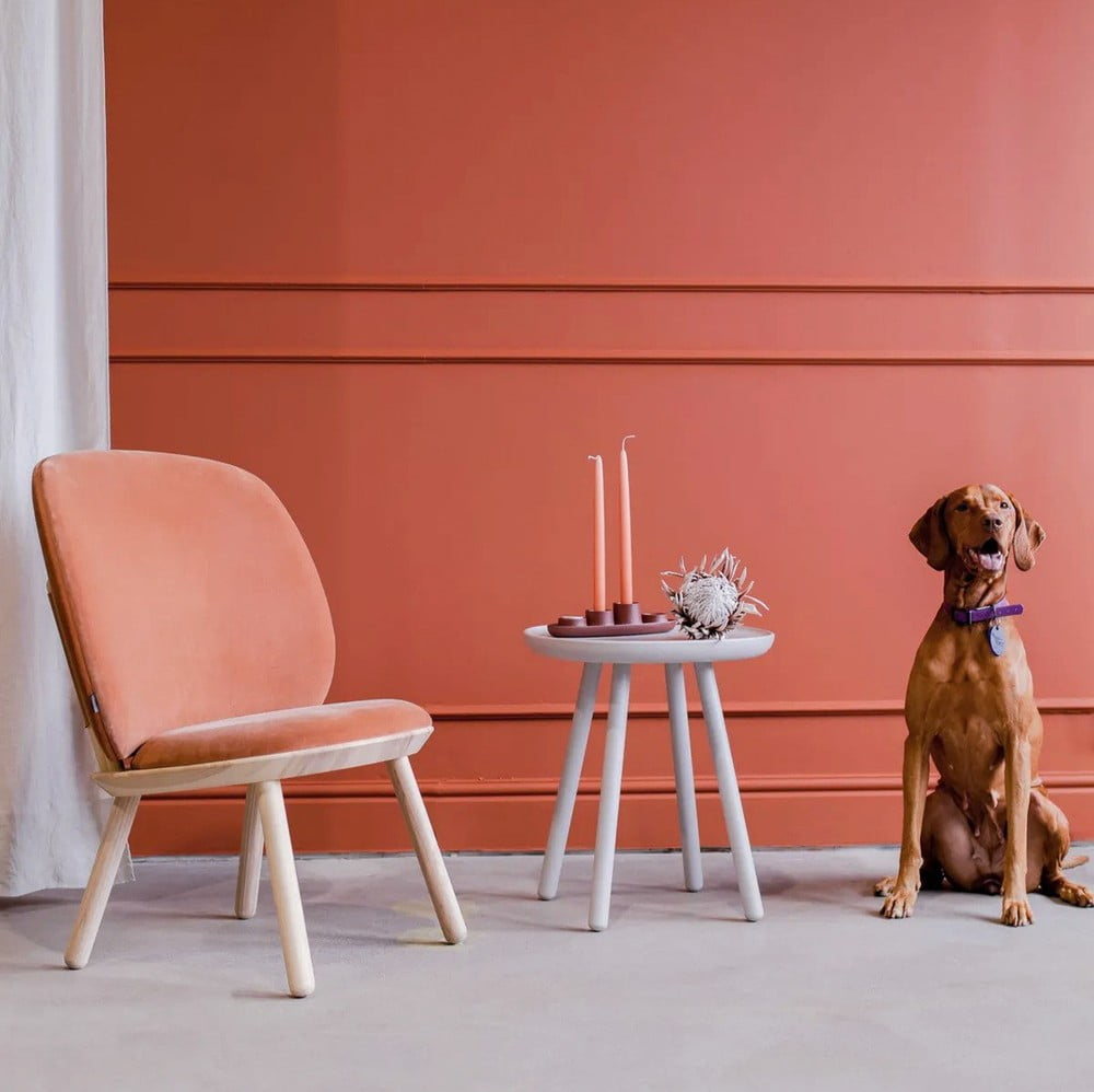 Inšpirácia: Obývacia izba