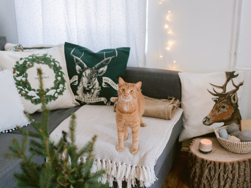 Inšpirácia: Vianoce, Obývacia izba