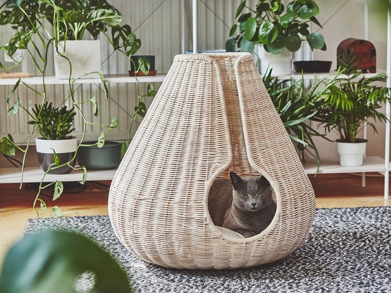 Inšpirácia: Domáci miláčikovia