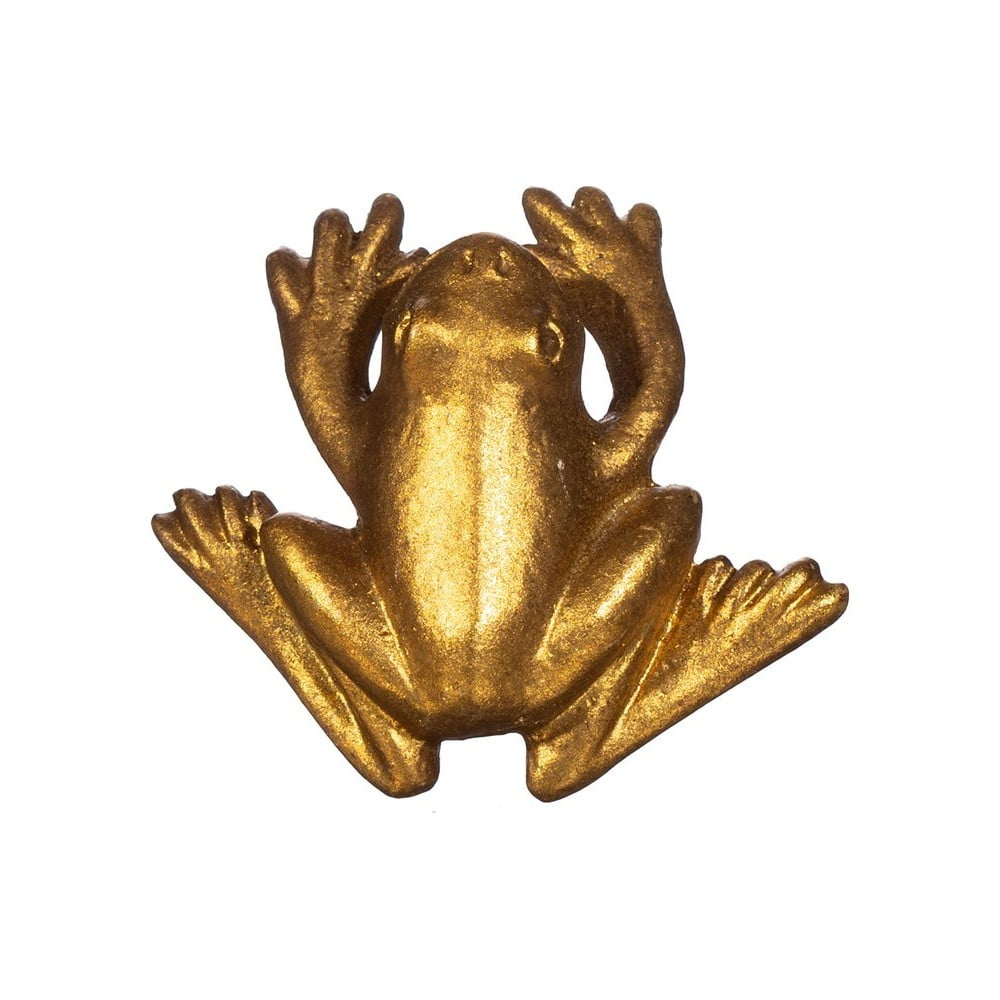 E-shop Cínová úchytka na zásuvku v zlatej farbe Sass & Belle Frog
